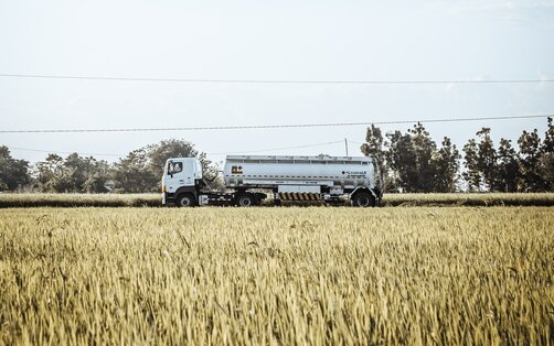 Rügenwalder Mühle Website Service: Lieferanten - LKW fährt auf Straße durch ein Kornfeld